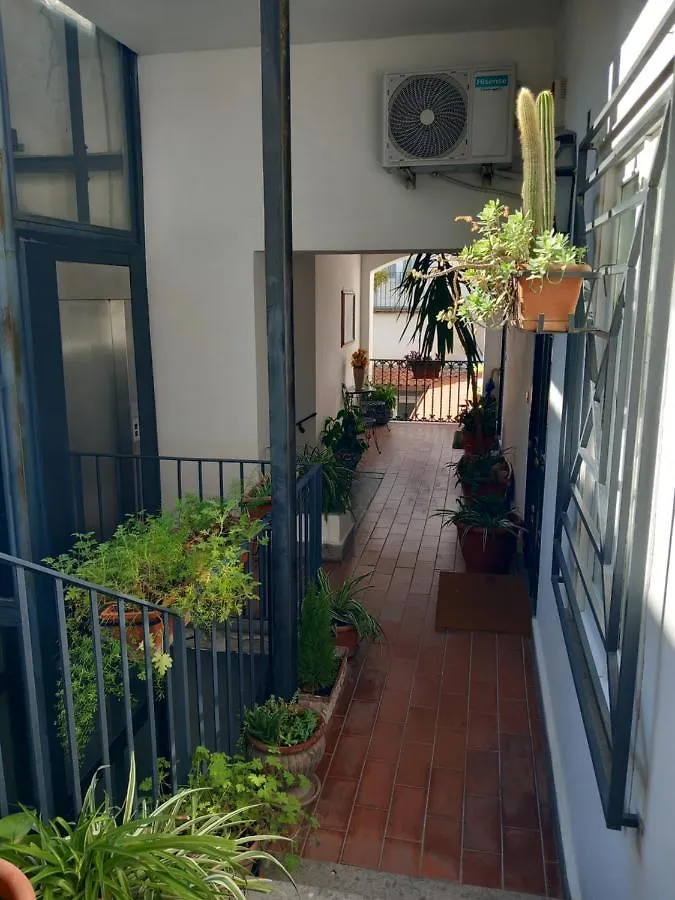 Nilo 28 House Apartment Naples Italy